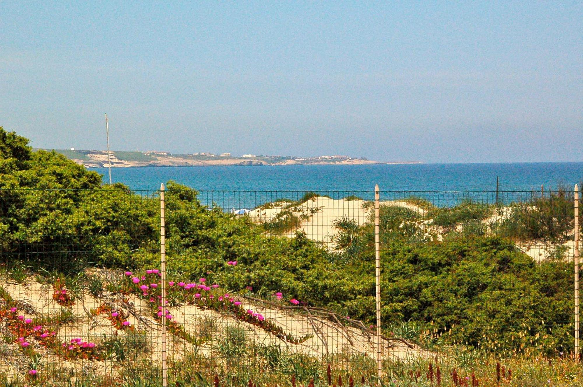 Camping Golfo Dell'Asinara プラタモナ エクステリア 写真