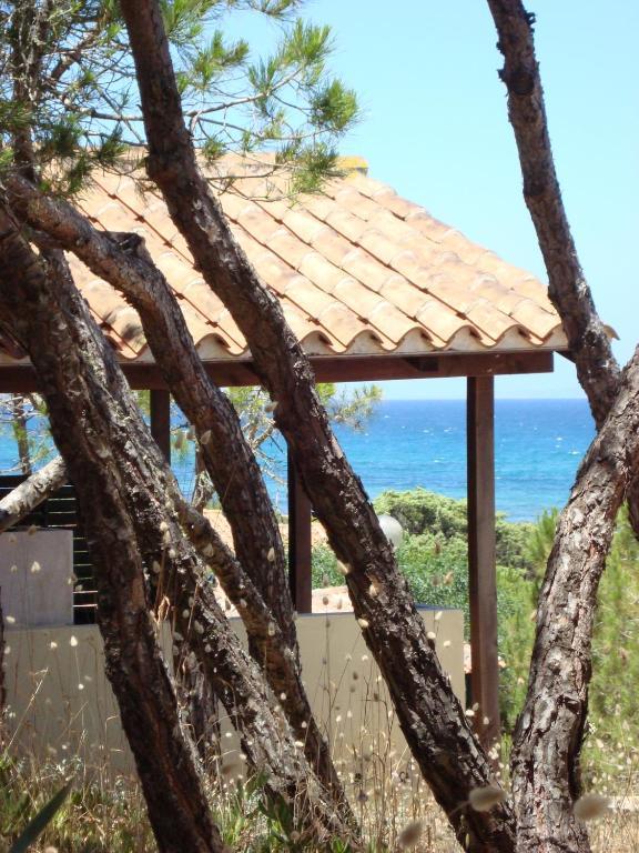 Camping Golfo Dell'Asinara プラタモナ 部屋 写真