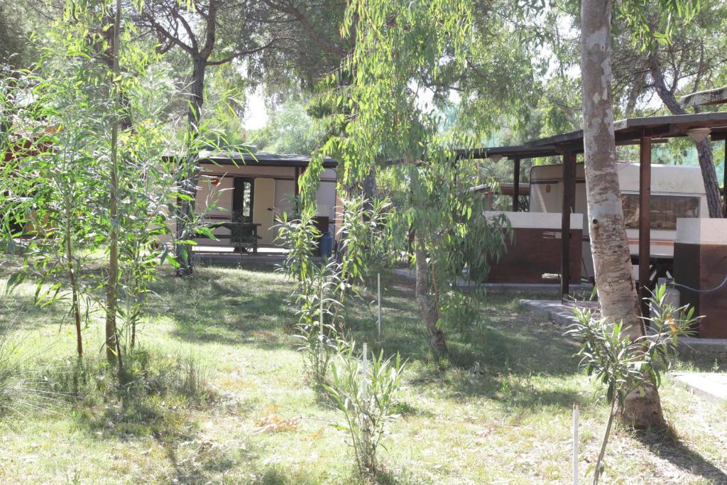 Camping Golfo Dell'Asinara プラタモナ 部屋 写真