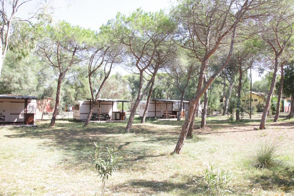 Camping Golfo Dell'Asinara プラタモナ 部屋 写真